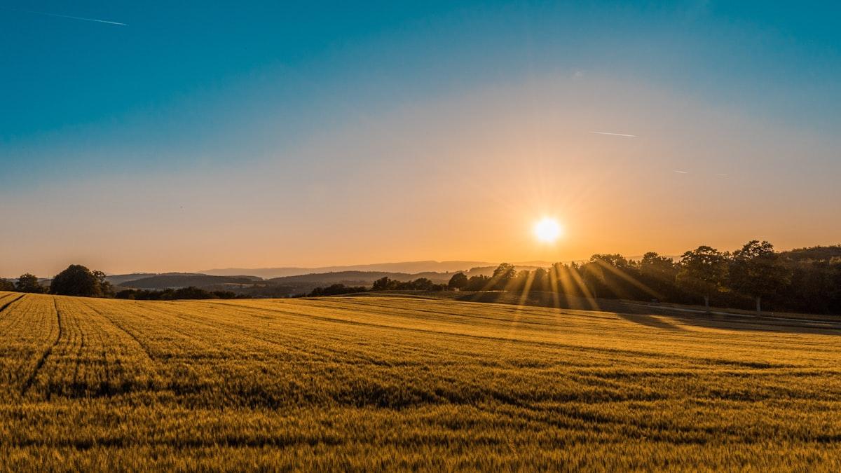 Vista aerea di un campo agricolo sostenibile